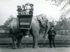 Un Elefante Indio, con su cuidador, llevando a niños pequeños en el Zoológico de Londres, c.1913 de Frederick William Bond